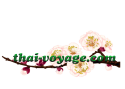 Online store Thai Voyage
