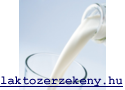 tej allergia laktózérzékenység