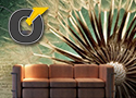 design szoba design